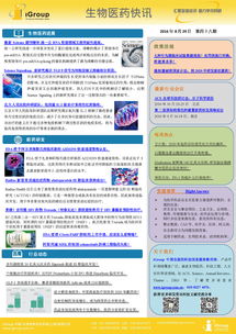 长煦信息技术咨询 引领行业发展的专业服务